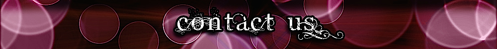 Moxie and Mojo :: Contact Us Banner