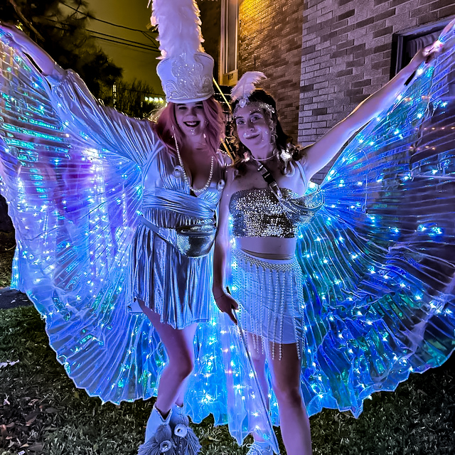 Mardi Gras Krewe Costume