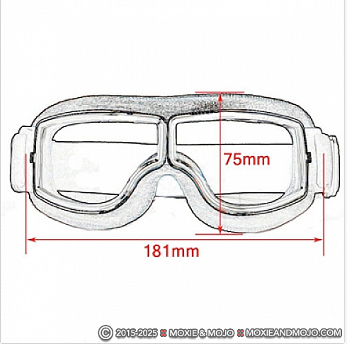 Moxie and Mojo Warrior Dragon Goggles