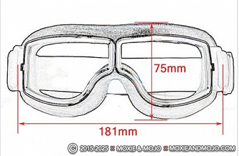 Moxie and Mojo Warrior Dragon Goggles