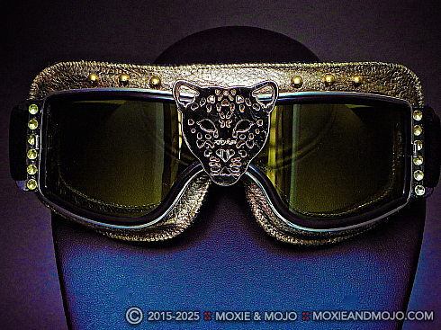Moxie and Mojo In the Wild Goggles