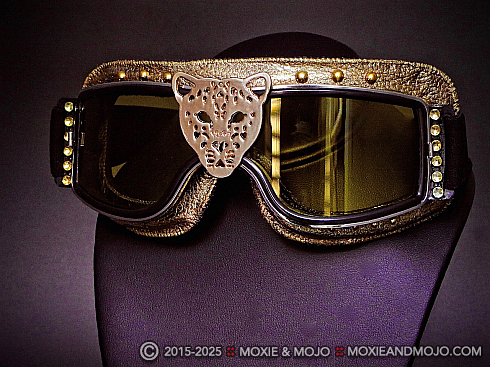 Moxie and Mojo In the Wild Goggles
