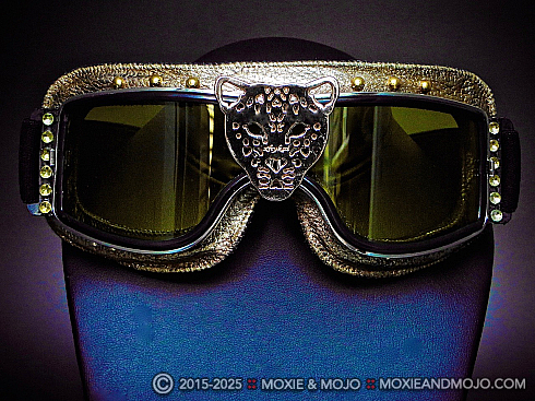 Moxie and Mojo In the Wild Goggles