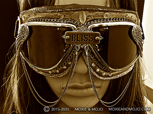 Moxie and Mojo In Bliss Goggles