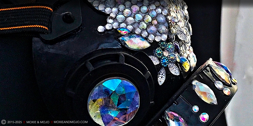 Moxie & Mojo  :: Lotus Shines