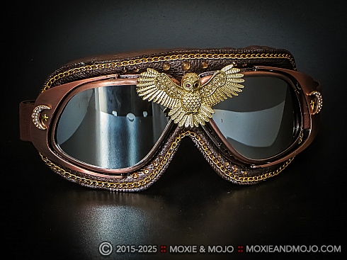 Moxie and Mojo Night Owl 2017 Goggles