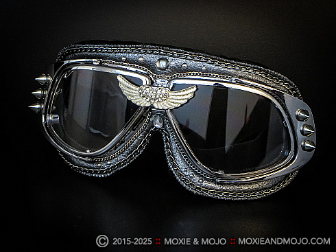 Moxie and Mojo Wings Goggles