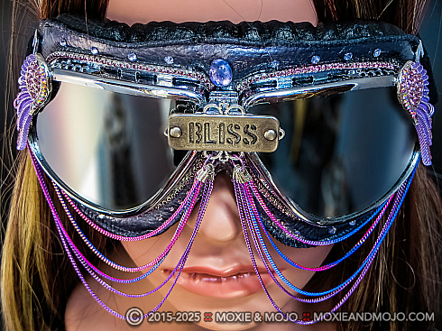 Moxie and Mojo Bliss 2017 Goggles