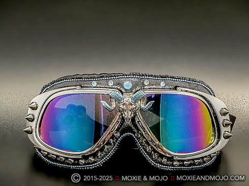 Moxie and Mojo You Got RAM in your system? Goggles