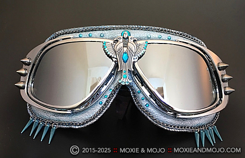 Moxie and Mojo The Birds Goggles