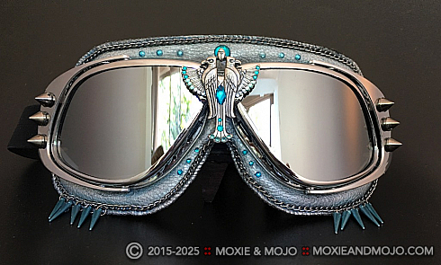 Moxie and Mojo The Birds Goggles