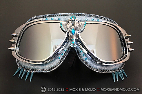 Moxie and Mojo The Birds Goggles