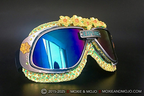 Moxie and Mojo Explore Goggles
