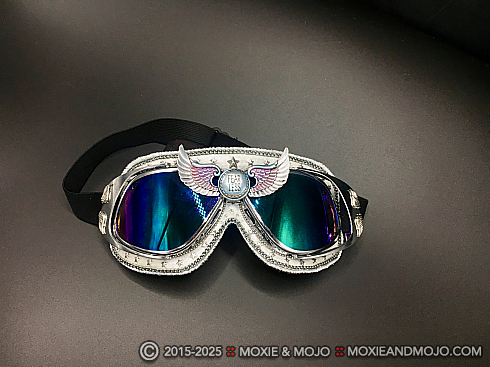 Moxie and Mojo Fearless Goggles