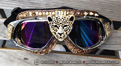 Moxie and Mojo The Hunt Goggles
