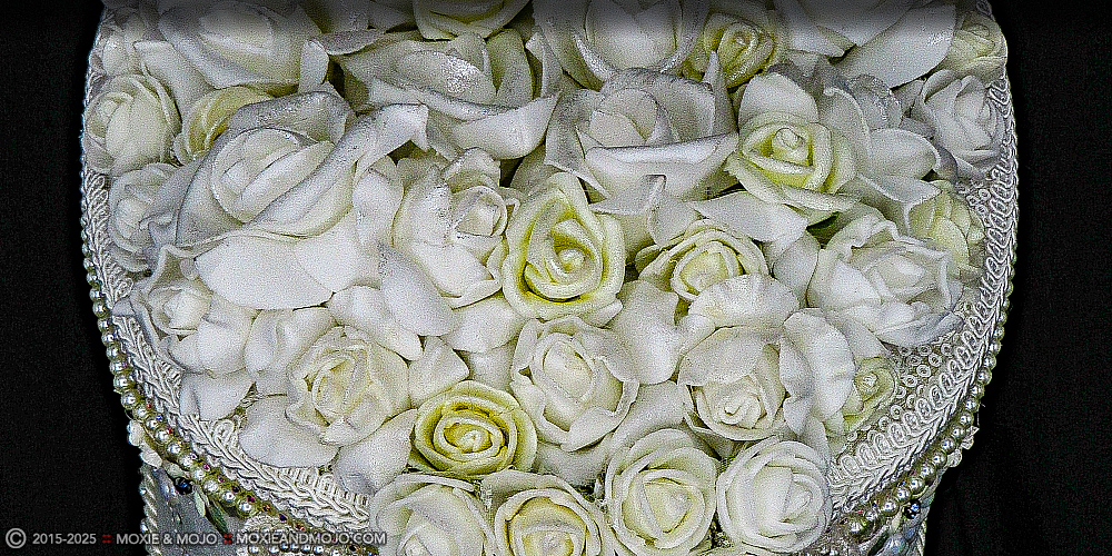 Moxie & Mojo  :: Bouquet of Roses & Veil