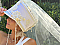 Moxie and Mojo Bouquet of Roses & Veil Hats