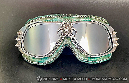 Moxie and Mojo State of the Union Goggles