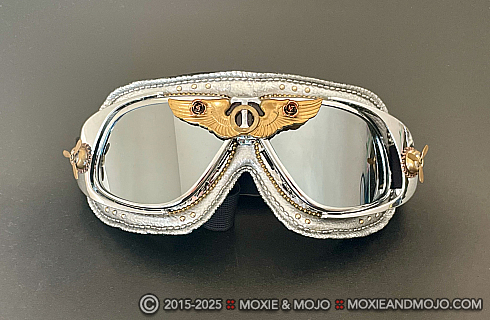 Moxie and Mojo The Aviator Goggles