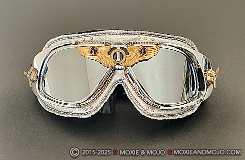 Moxie and Mojo The Aviator Goggles