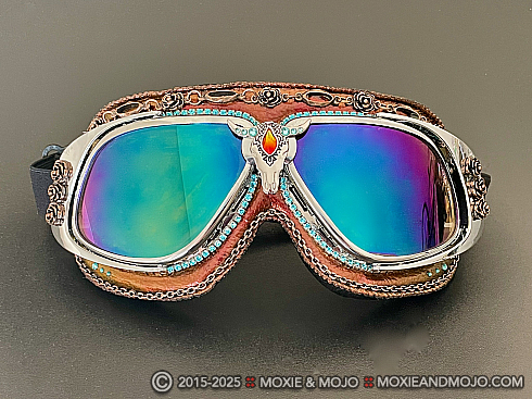 Moxie and Mojo Ten Miles from Tucson Goggles