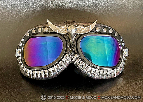 Moxie and Mojo Apocalypse Bird Goggles