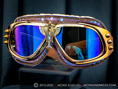Moxie and Mojo Sacred Birds Goggles
