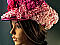 Moxie and Mojo Roses, ToGo Please Hats
