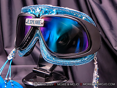Moxie and Mojo My Feathered Friend Goggles