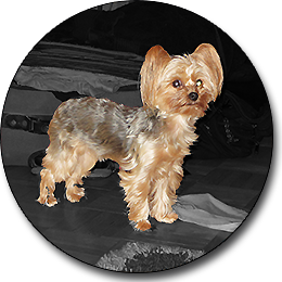 Kaysee a.k.a Little Diamond